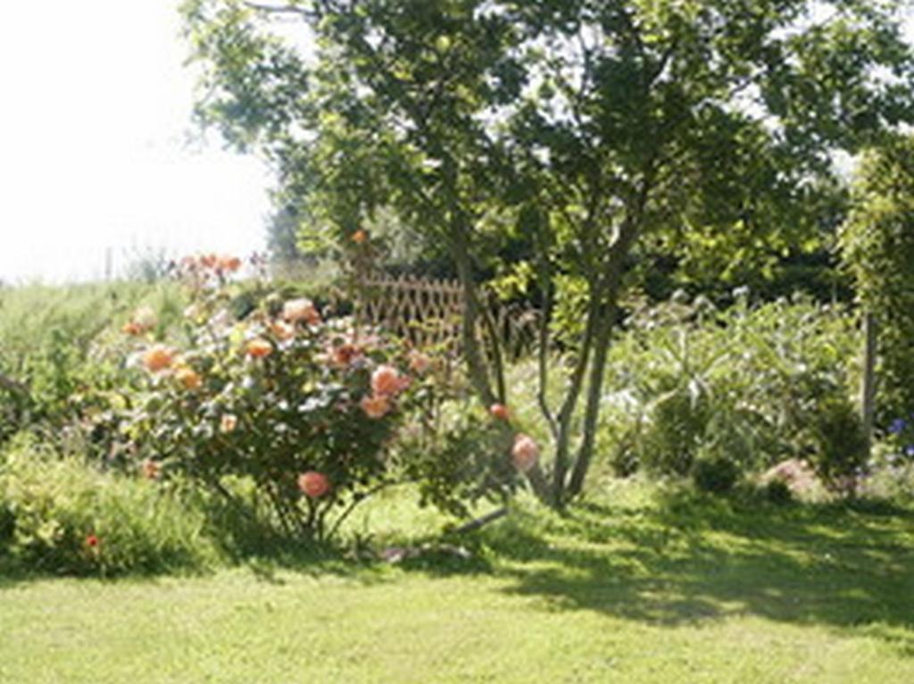 B&B Kerlilou Plouguiel Exterior photo